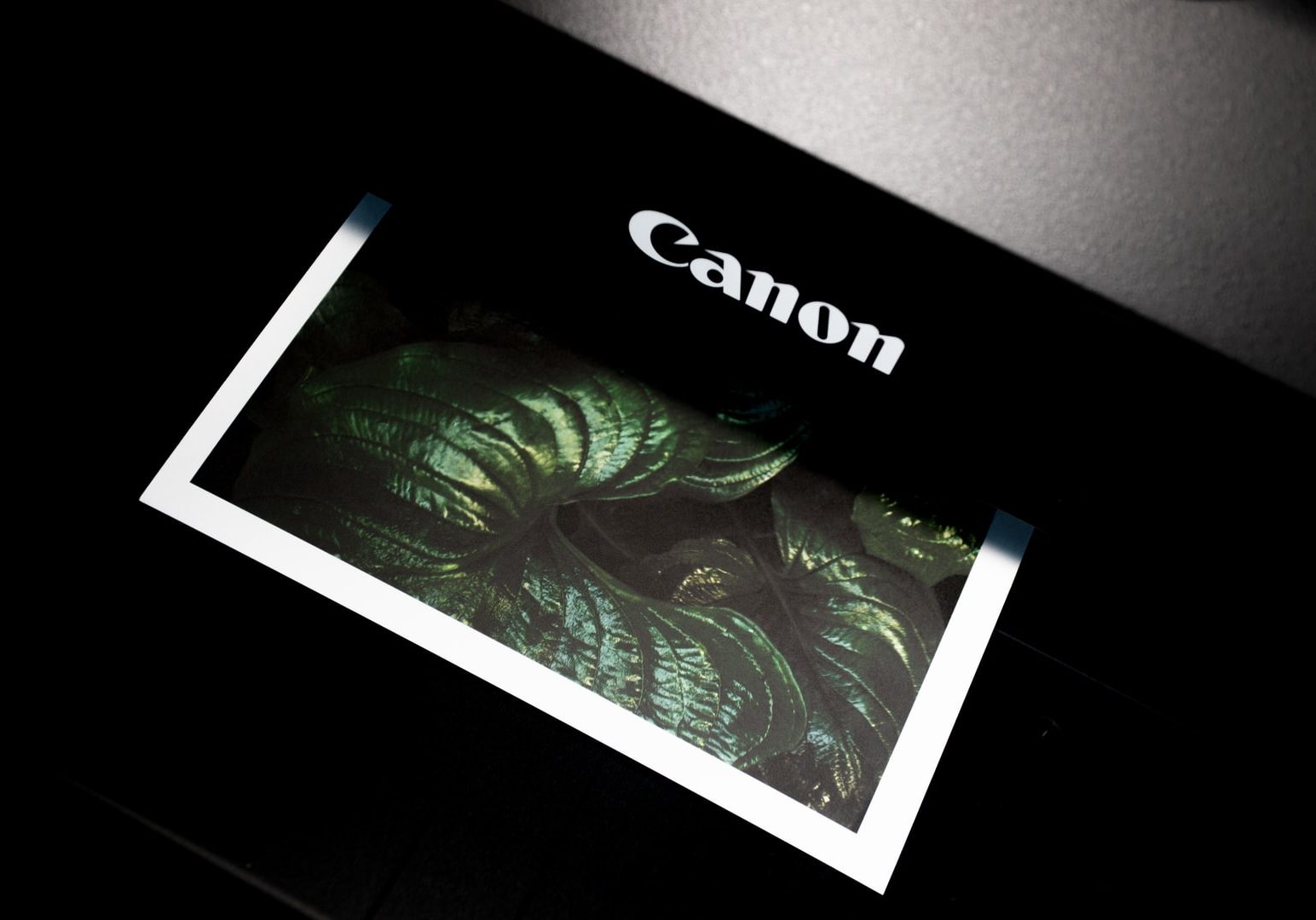 black Canon photo printer